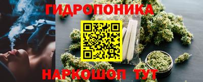 Альфа ПВП Кимры