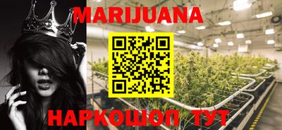 амф Кингисепп