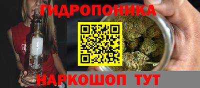 Альфа ПВП Кимры