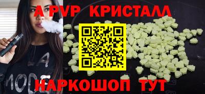 амф Кингисепп