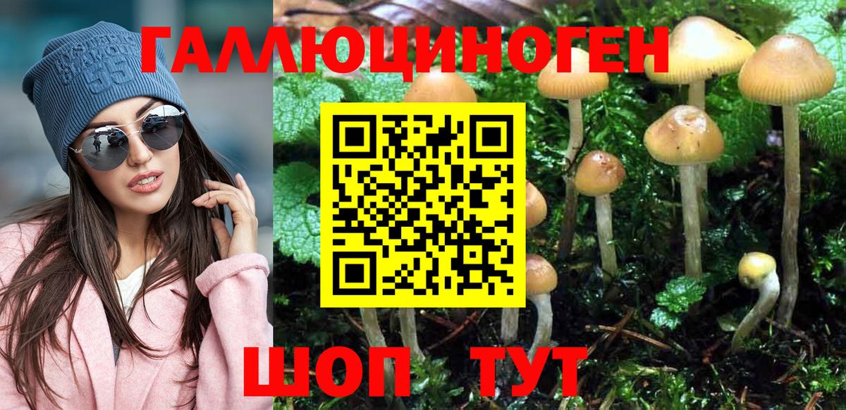 Галлюциногенные грибы Cubensis Кропоткин