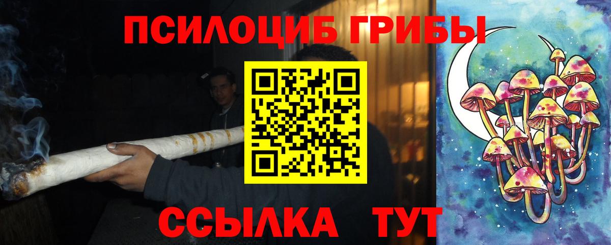 купить  цена  Галлюциногенные грибы Magic Shrooms  Вход с VPN  Кропоткин 